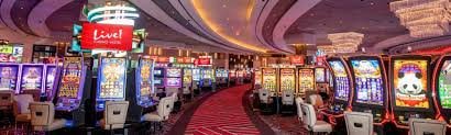 333bet app